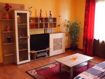 Room For Rent Strasbourg 45725