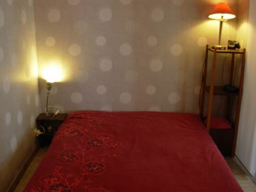 Chambre À Louer Lyon 49356