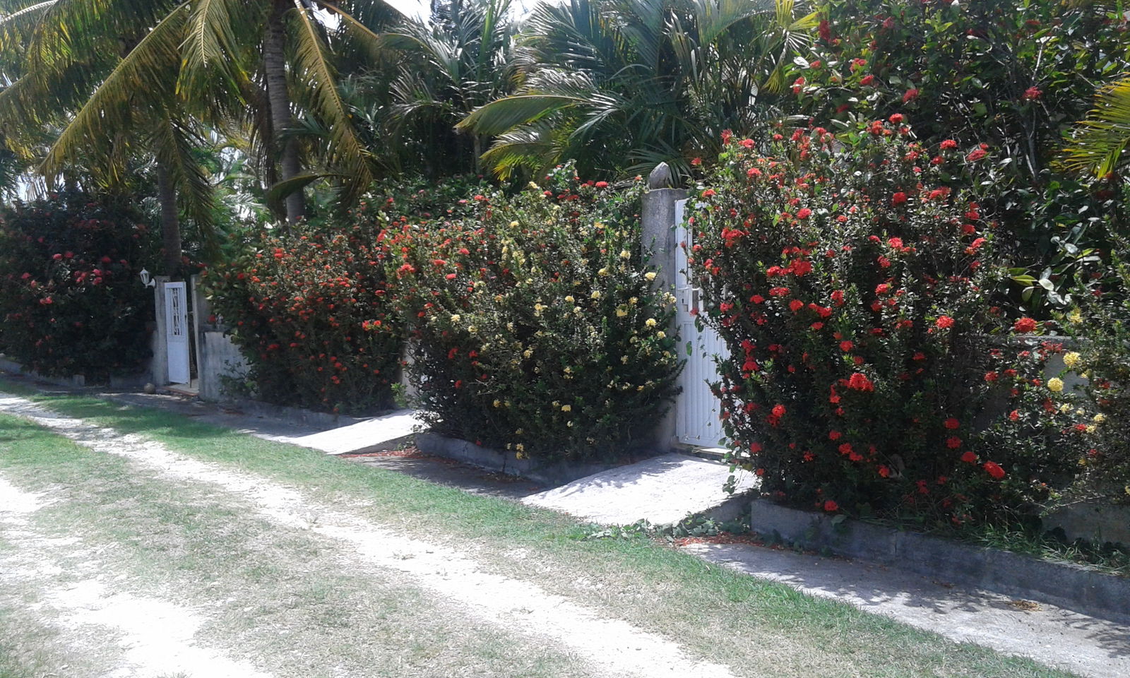 Casa Inteira Grande-Terre 194069