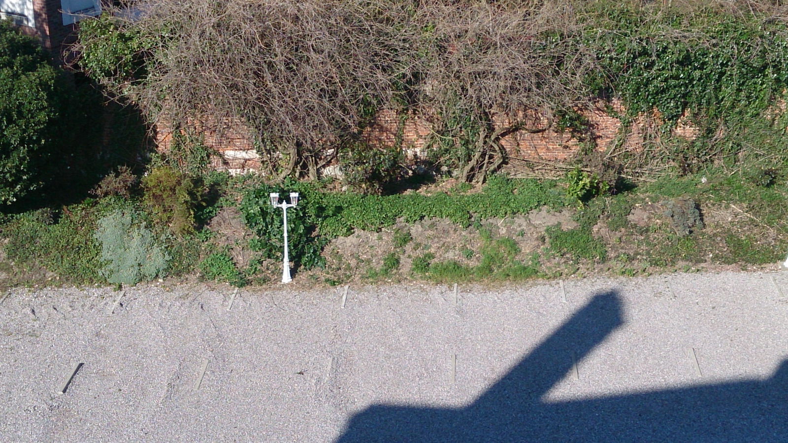 Logement Entier Arras 62642