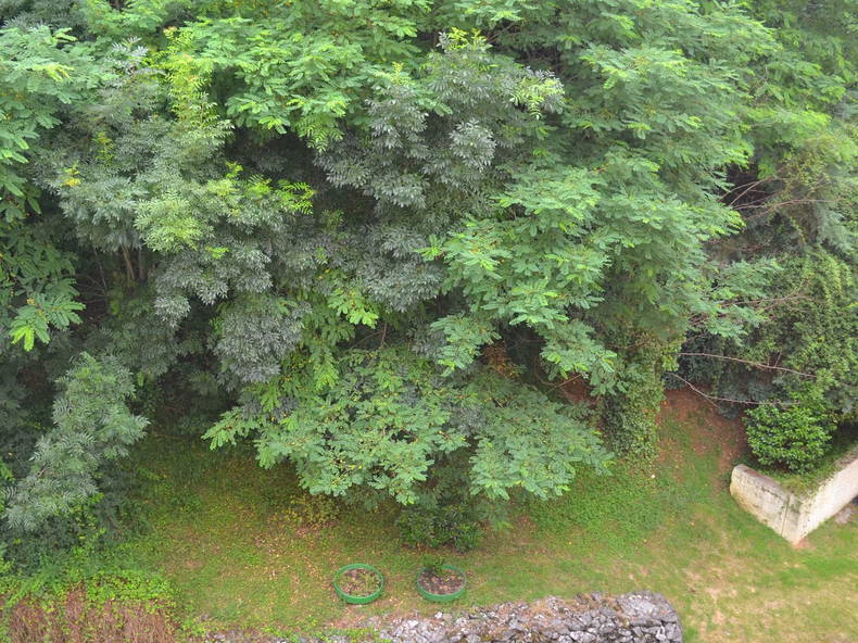 Toda La Casa Billère 77517-5