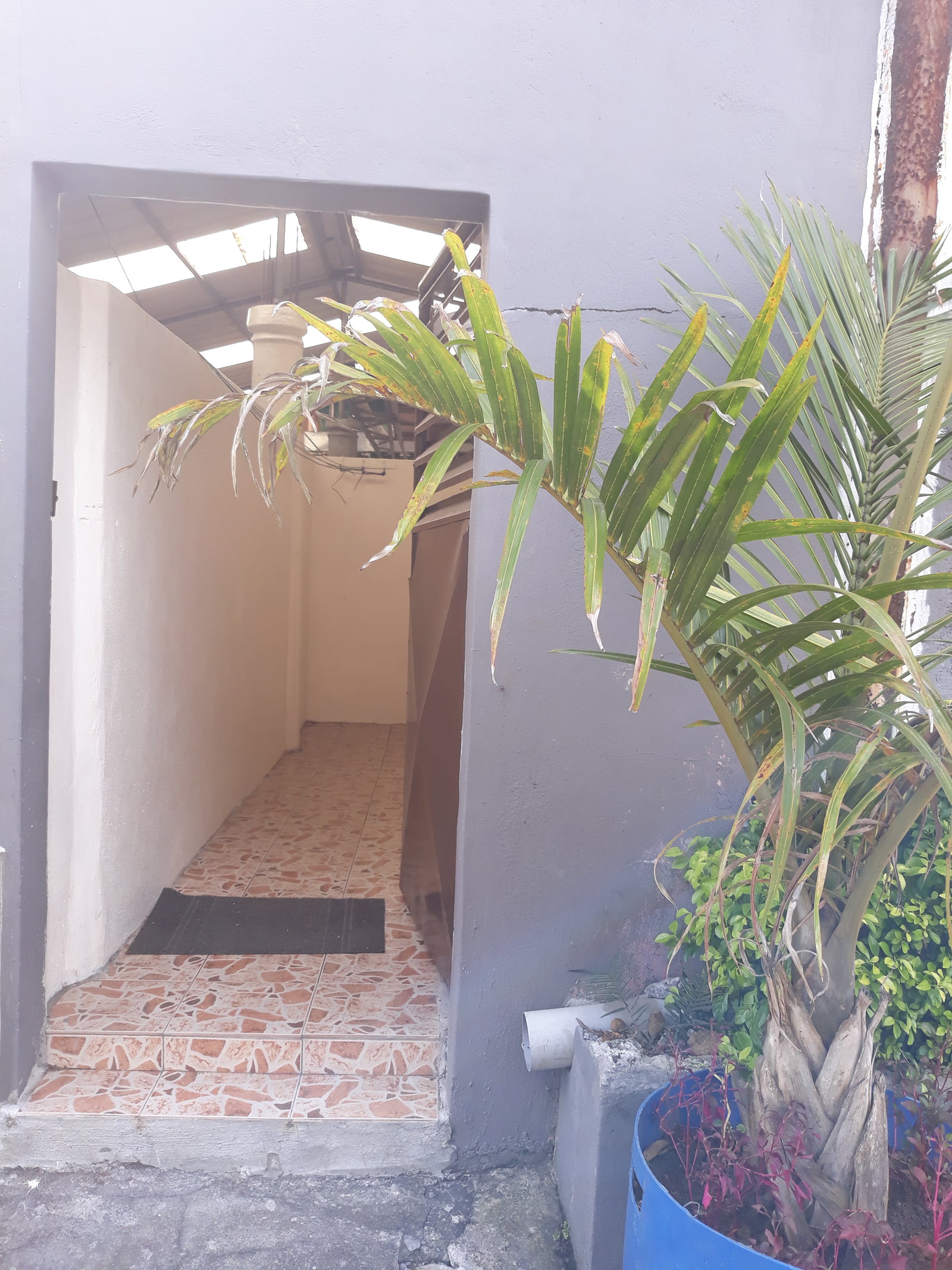 Entire Home Curepipe 251947