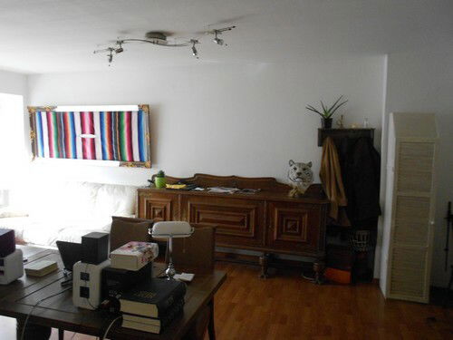 Studio Indépendant Forest 79248
