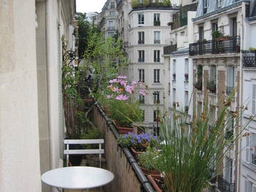 Homestay Paris 12685