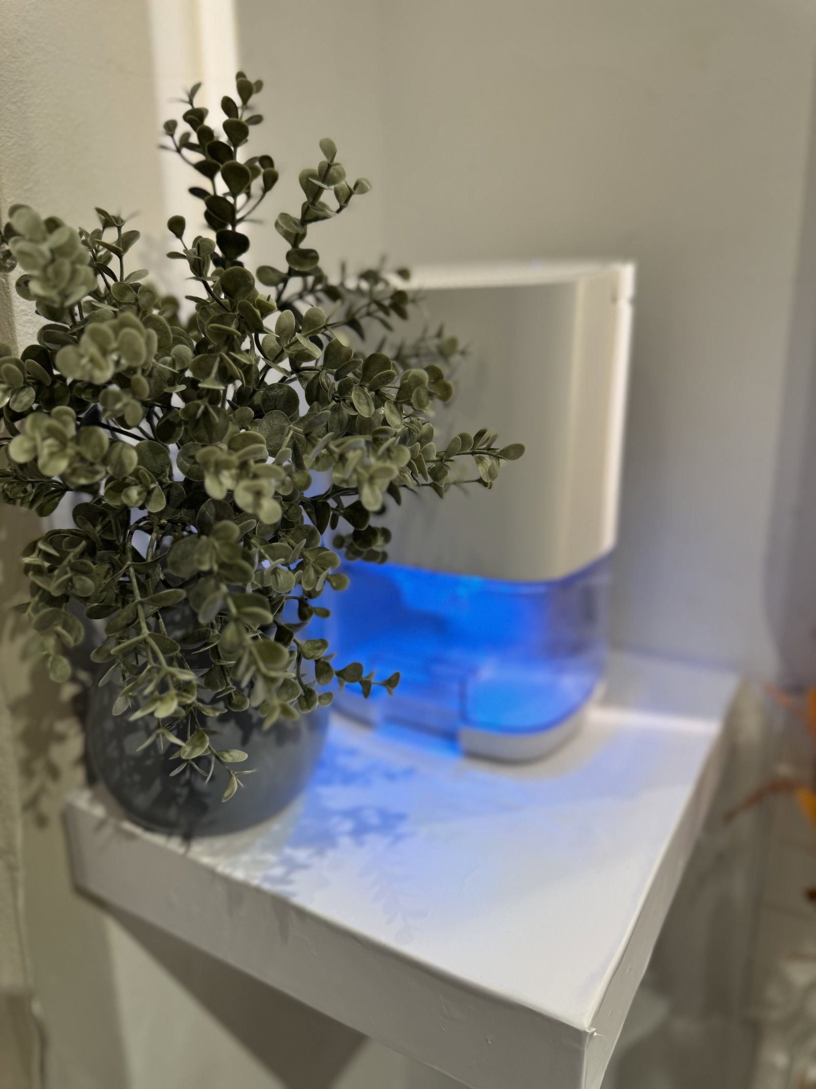 Logement Entier Mulhouse 609404