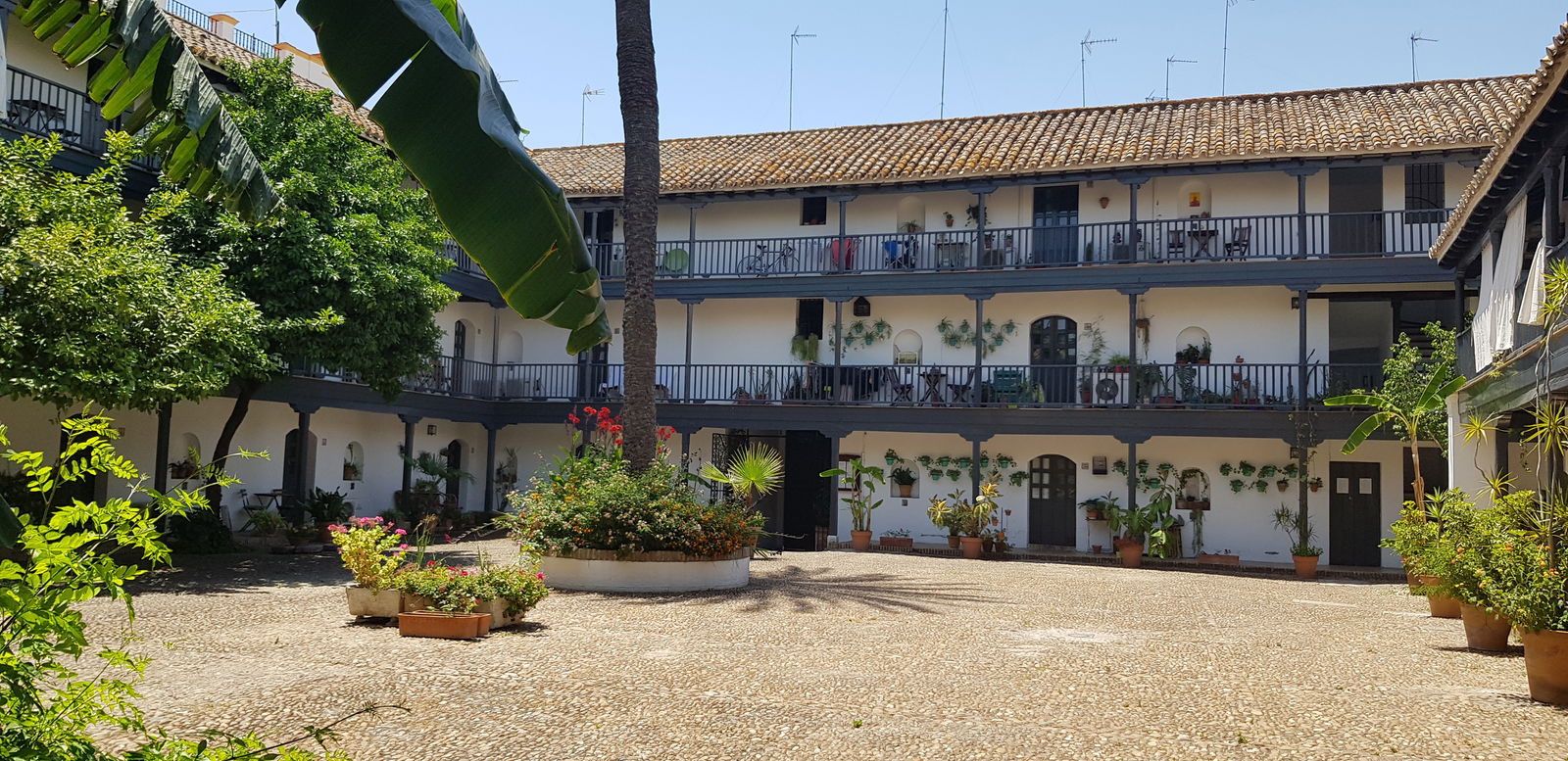 Studio Indépendant Sevilla 243083