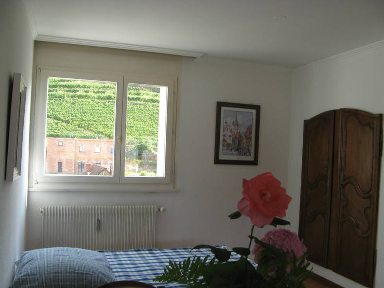 Entire Home Guebwiller 98685-3