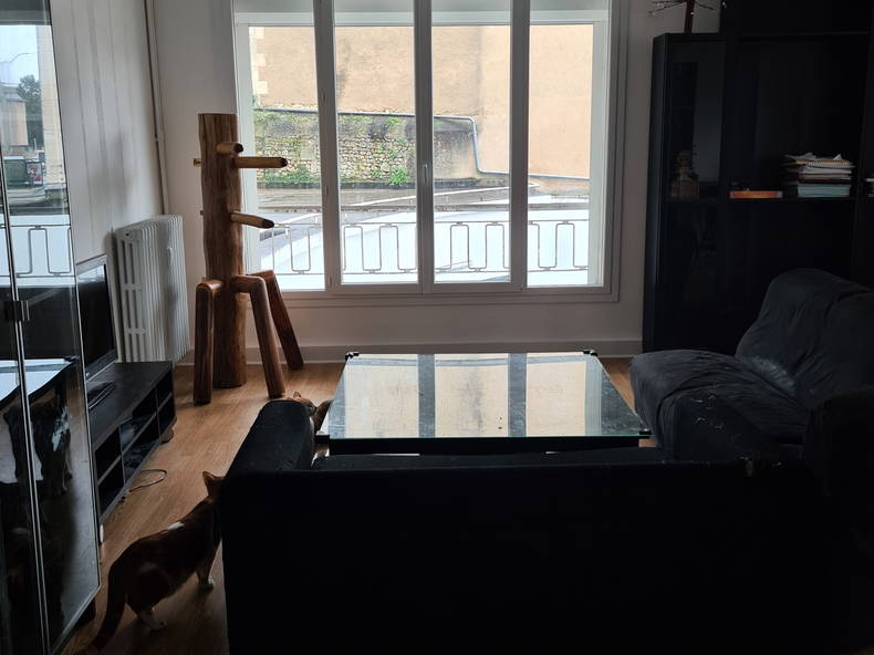 Chambre Chez L'habitant Poitiers 243578-1