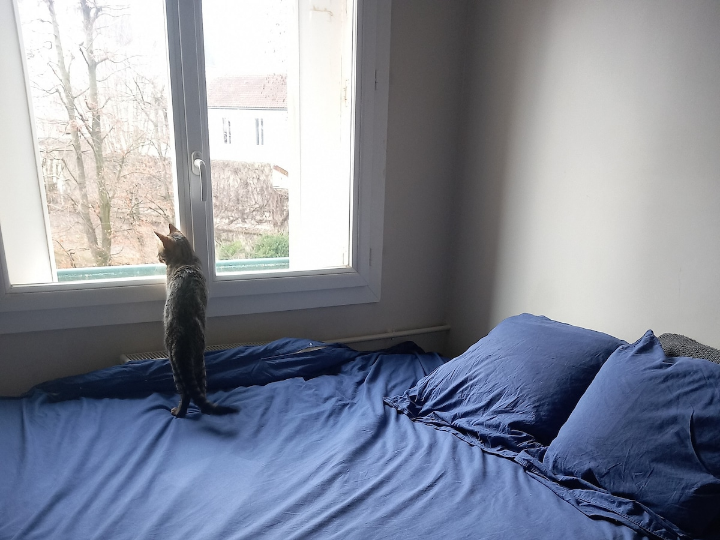 Ganzes Haus Joinville-le-Pont 403054-3