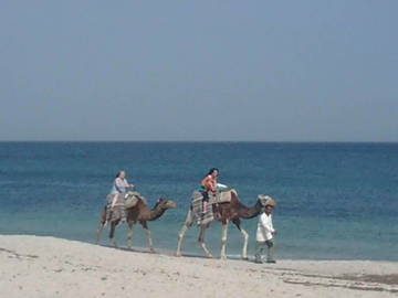 Casa Inteira Tunis 67897-10