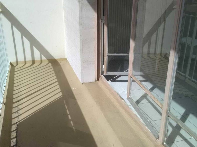 Kolokasie Champigny-sur-Marne 222784-3