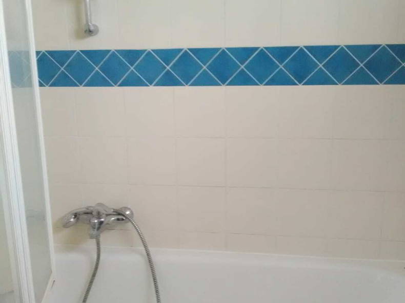 Kolokasie Champigny-sur-Marne 222784-5