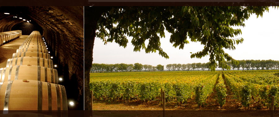 Estudio Independiente Pommard 257871