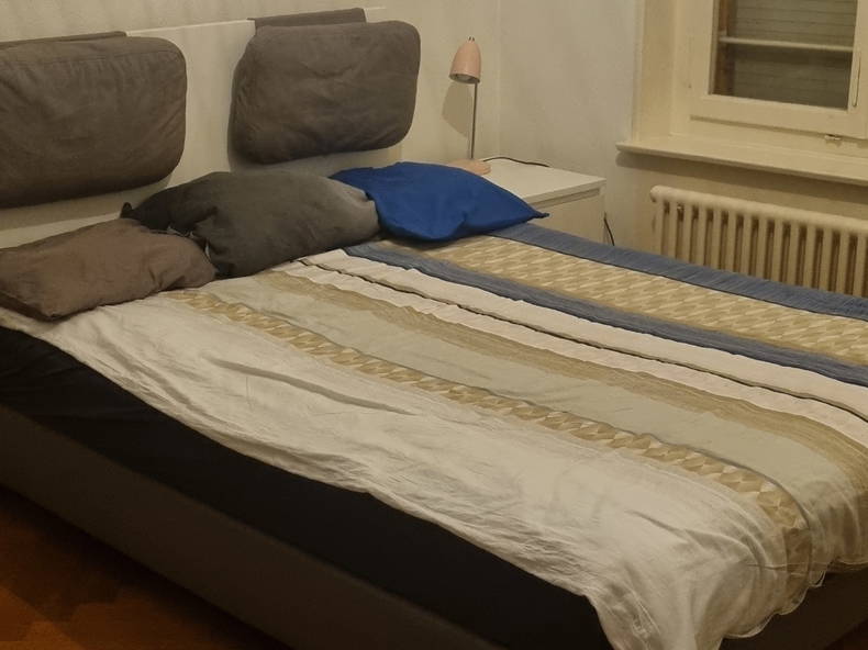 Logement Entier Lausanne 480300-1