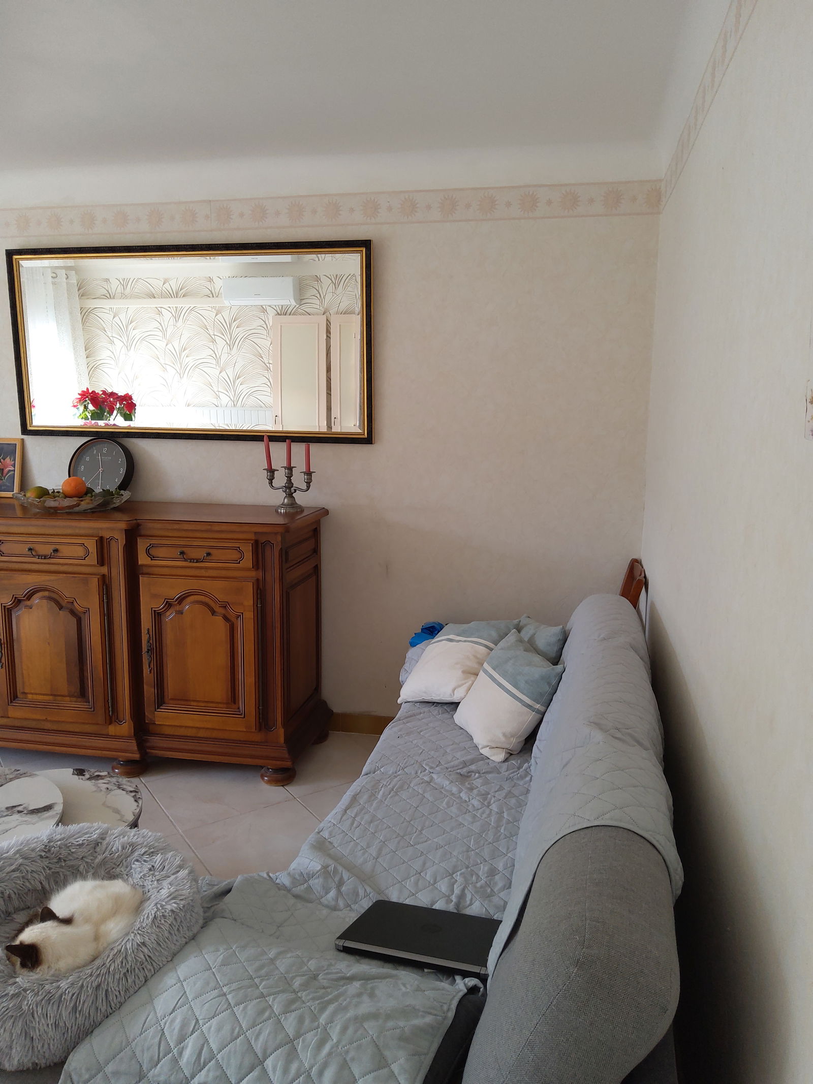 Logement Entier Amélie-les-Bains-Palalda 485188