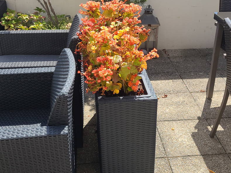 Homestay Puteaux 262784-3