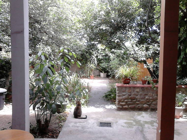 Homestay Perpignan 110112