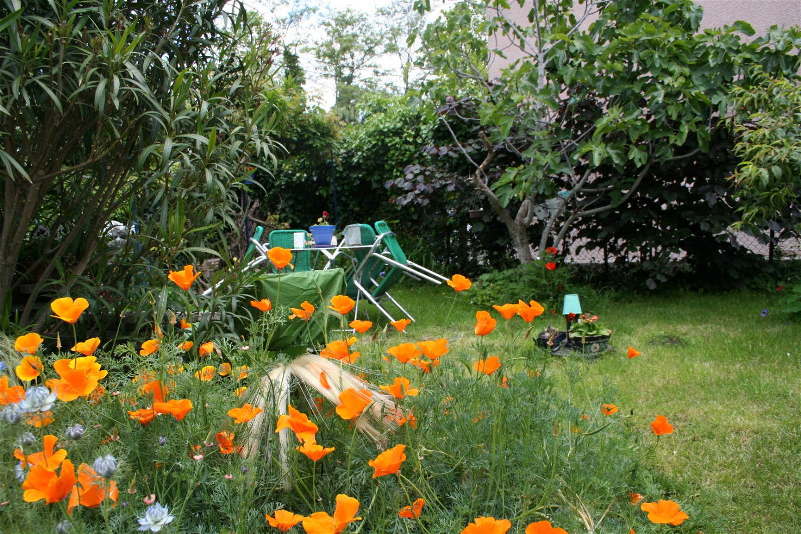 Colocation Toulouse 222092