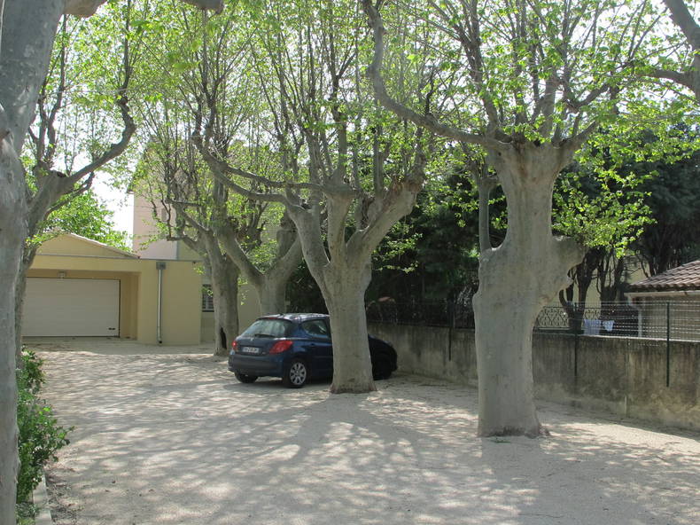 Cały Dom Avignon 71340-2