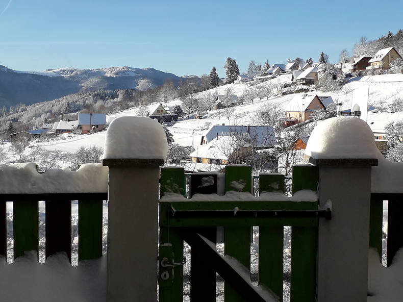 Logement Entier Geishouse 249077-5