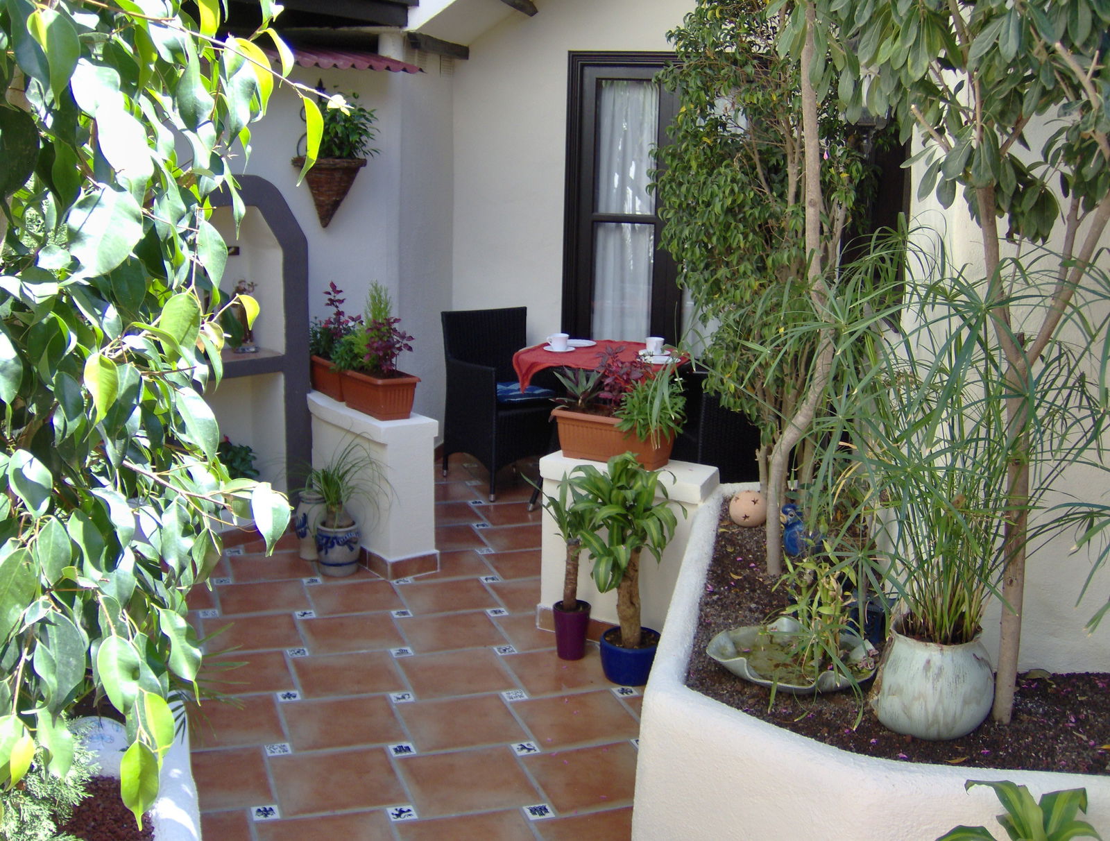 Studio Indépendant Icod de los Vinos 243009