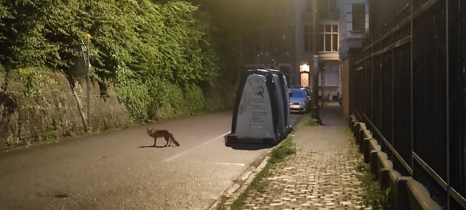 Homestay Ixelles 384133