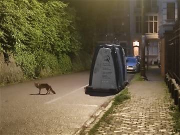 Unterkunft beim Gastgeber zur Miete in Ixelles - Foto 10: Sonstige Räume-10