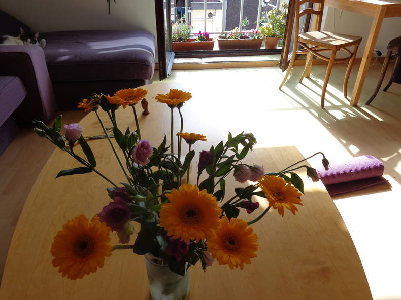 Homestay Saint-Gilles 147682-1