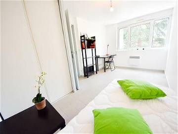 Chambre À Louer Villeurbanne 249973