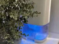 Logement Entier Colmar 654454-5