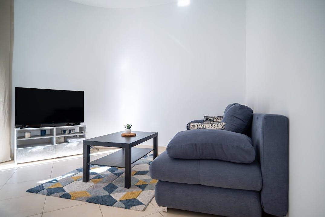 Logement Entier Lyon 674945