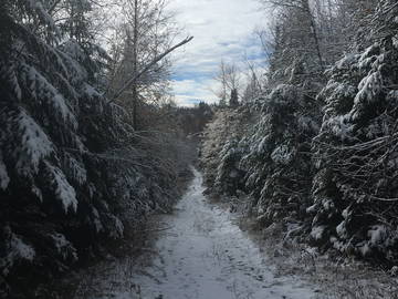 Logement Entier Val-David 624582-11