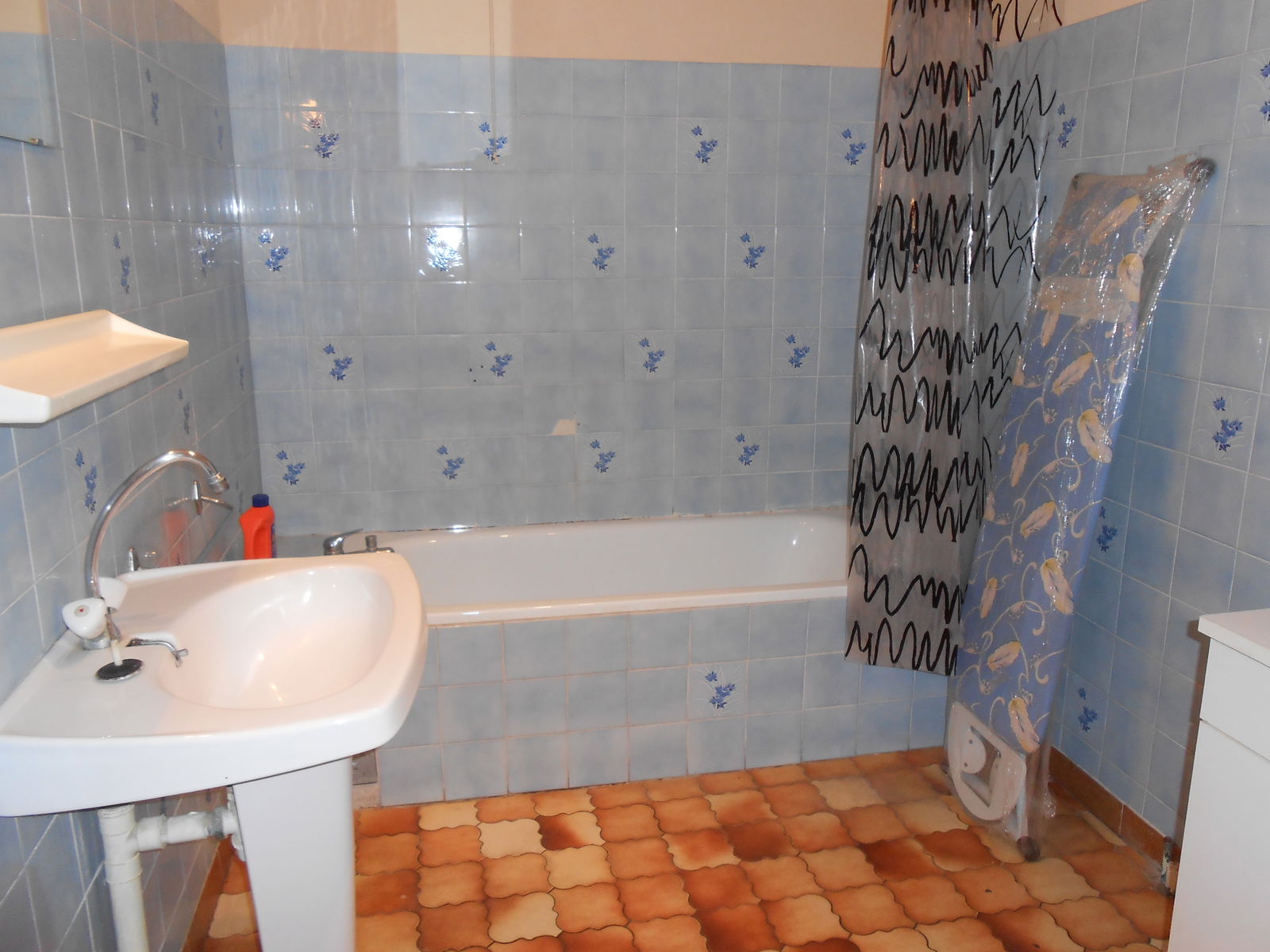 Colocation Montpellier 166571