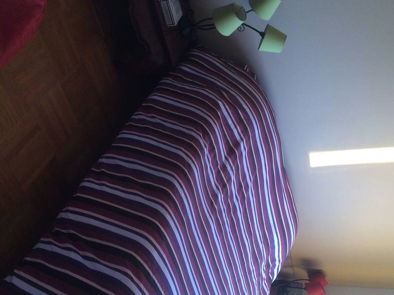 Entire Home Lyon 111118-1