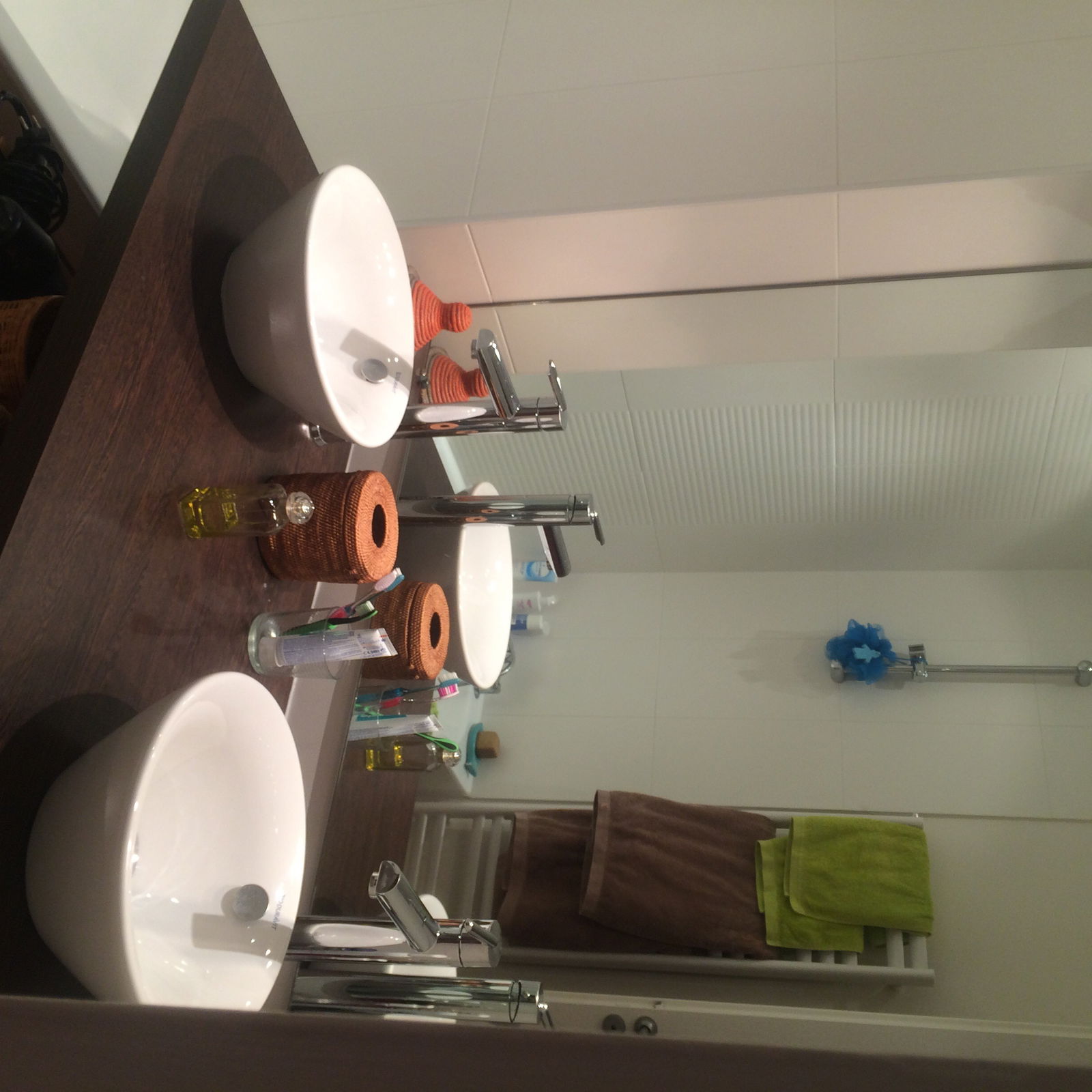 Logement Entier Lyon 111118