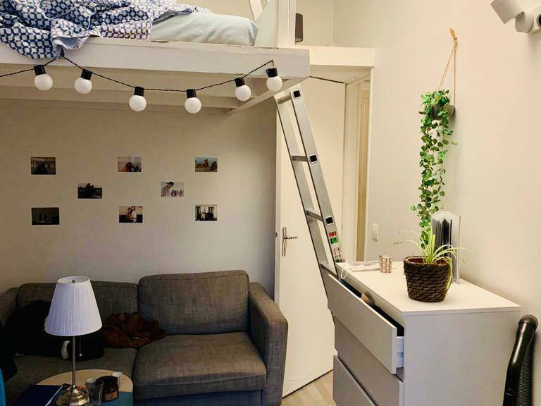 Casa Inteira Paris 246116-3