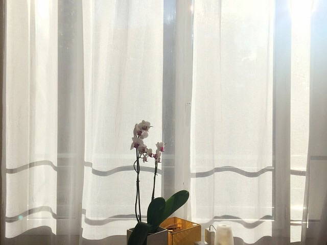 Homestay Paris 93988-1