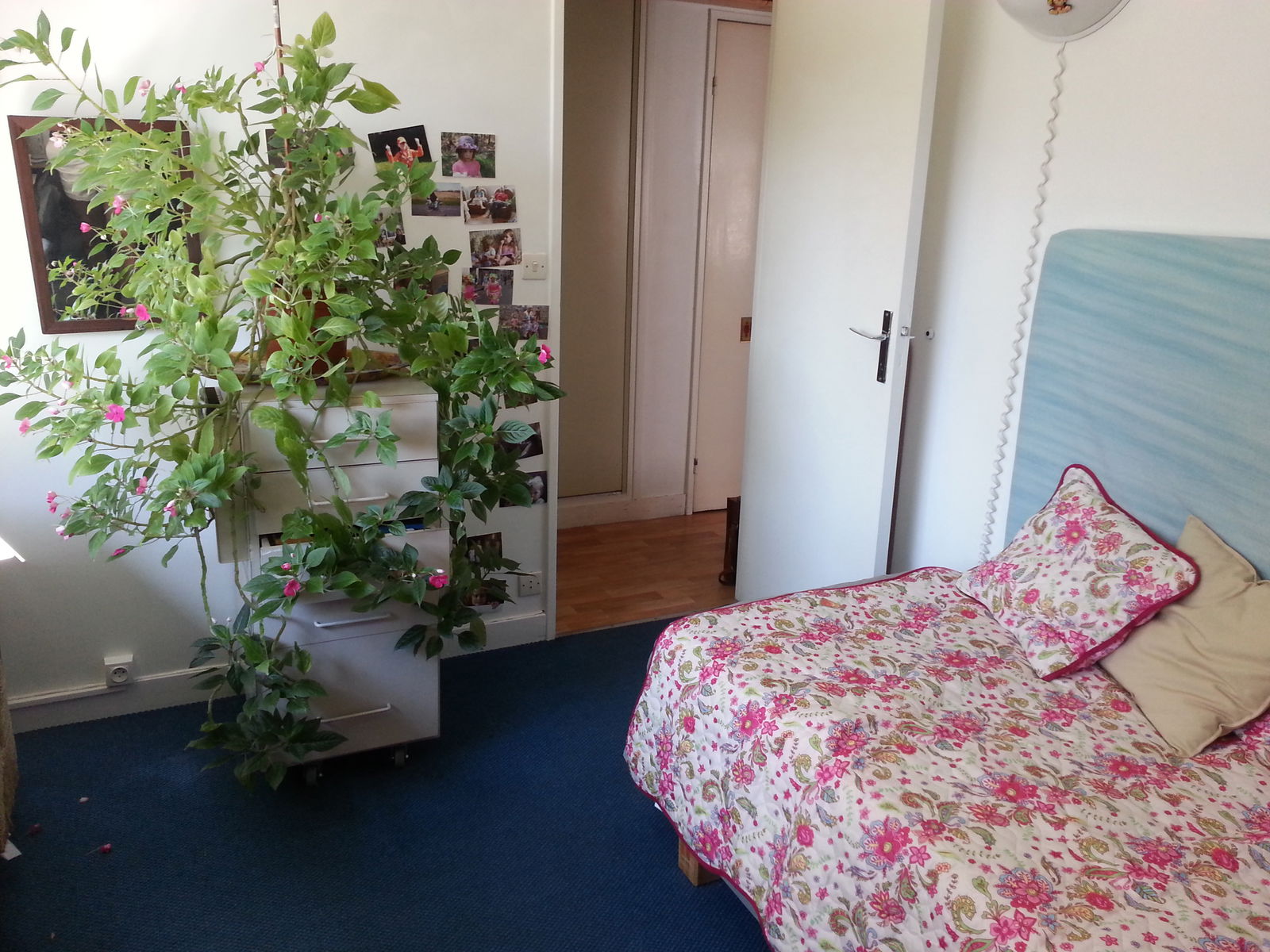 Chambre Chez L'habitant Paris 61302