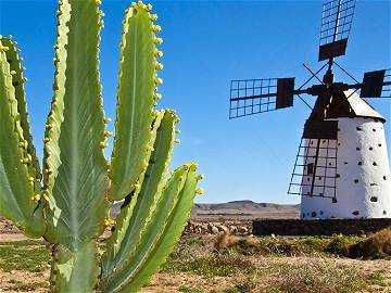 Logement Entier Corralejo 160202-10