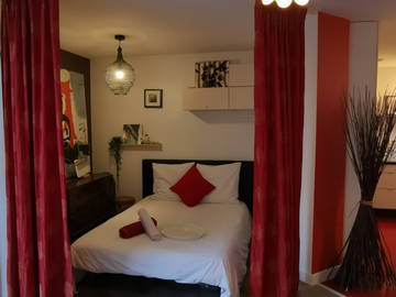 Logement entier à louer à Nantes - photo 11 : chambre-11