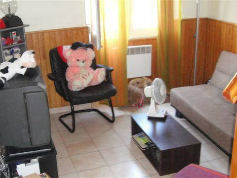 Colocation Cannes 6704-3