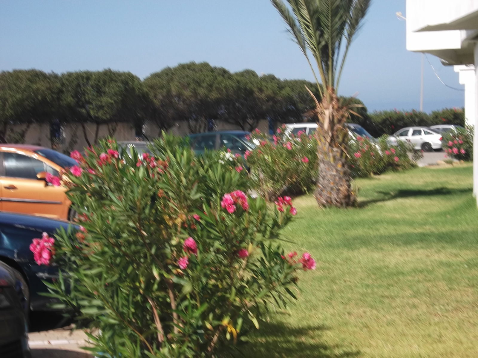Oberoende Studio Tanger 162551