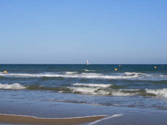 Colocation Narbonne plage 32647-1