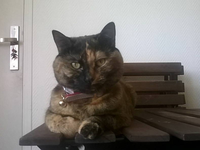 Colocatie Nantes 173757-4