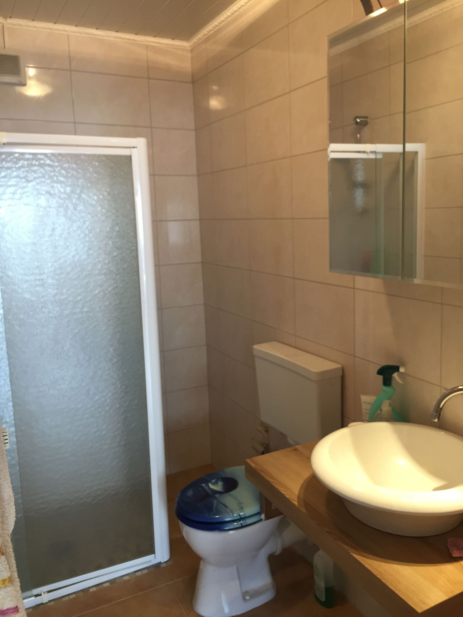 Ganz Haus Dudelange 246255