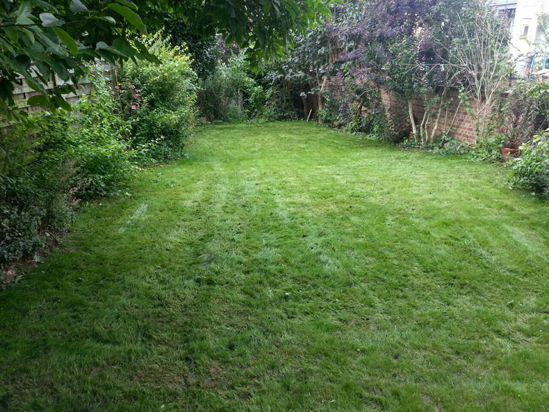 Kolokation Bruxelles 126175-3