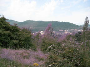 Independent Apartment In A Valley