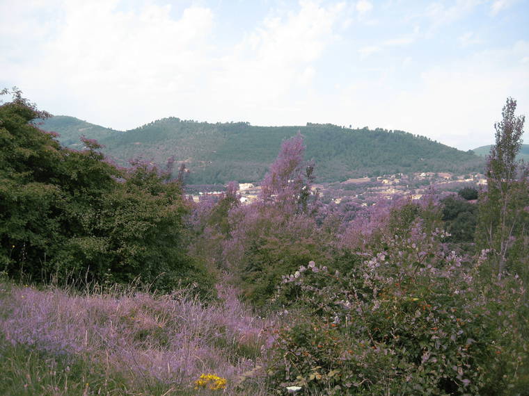 Homestay Générargues 35795-1