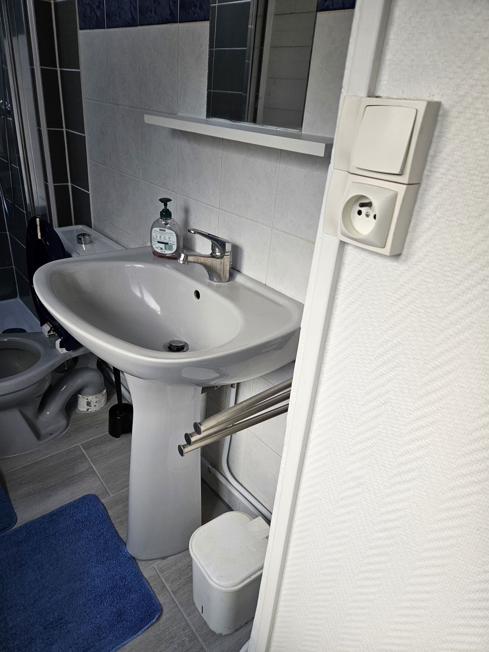 Logement Entier Blois 239561