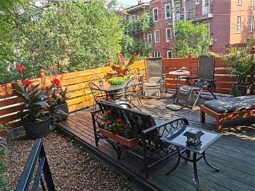 Studio For Rent Montréal 231431-1